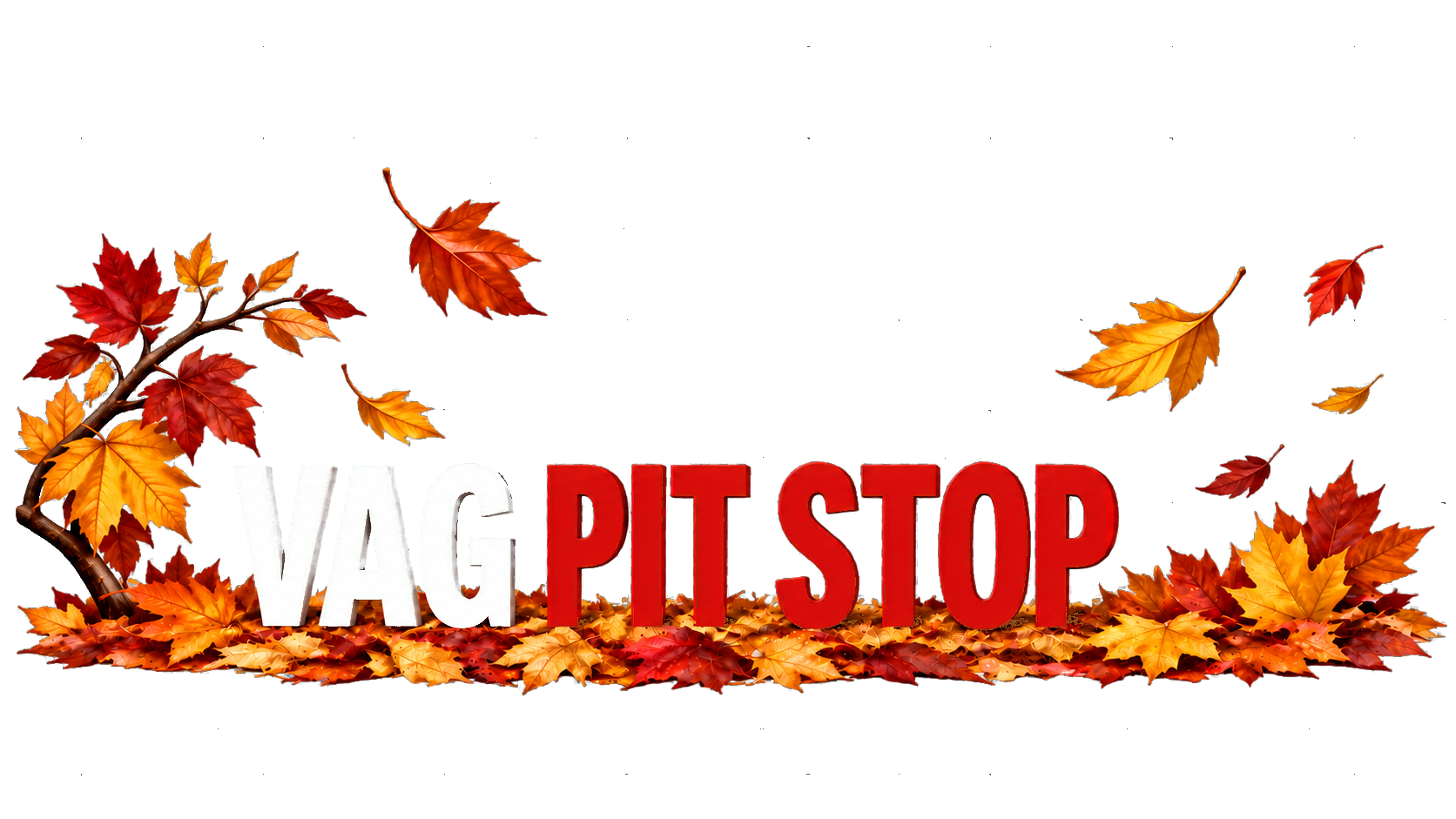 VAG PIT STOP